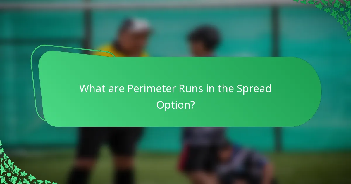 What are Perimeter Runs in the Spread Option?