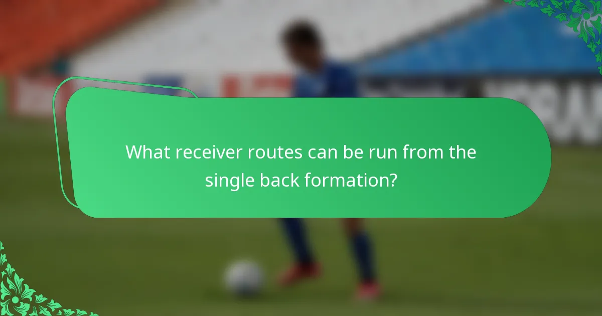 What receiver routes can be run from the single back formation?